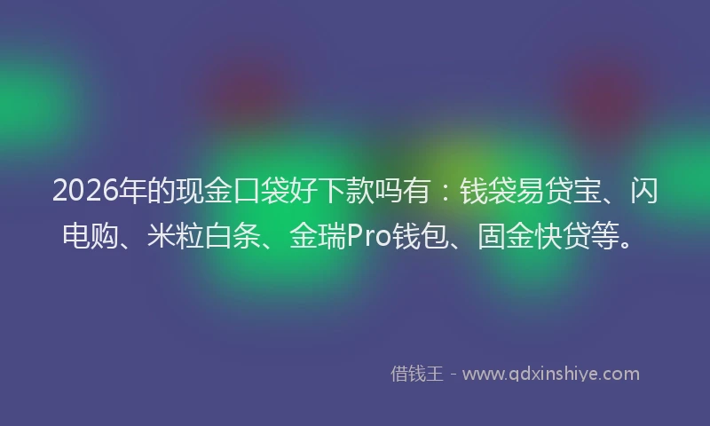 2026年的现金口袋好下款吗有：钱袋易贷宝、闪电购、米粒白条、金瑞Pro钱包、固金快贷等。