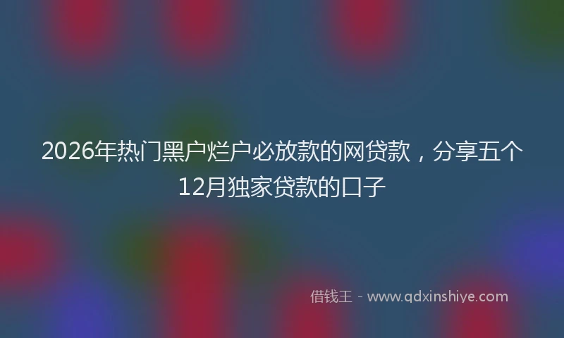 2026年热门黑户烂户必放款的网贷款，分享五个12月独家贷款的口子