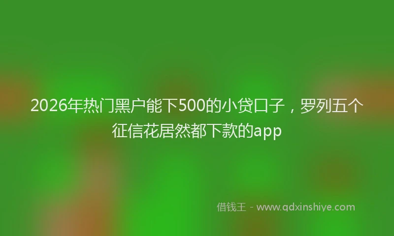 2026年热门黑户能下500的小贷口子，罗列五个征信花居然都下款的app