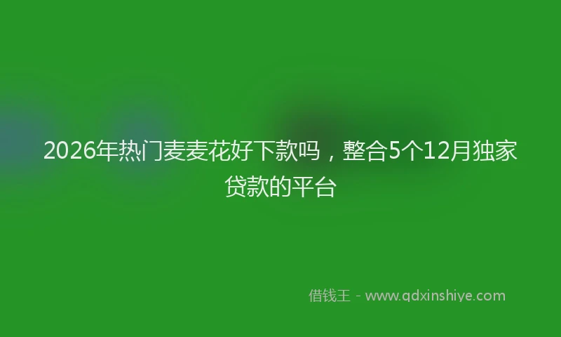 2026年热门麦麦花好下款吗，整合5个12月独家贷款的平台