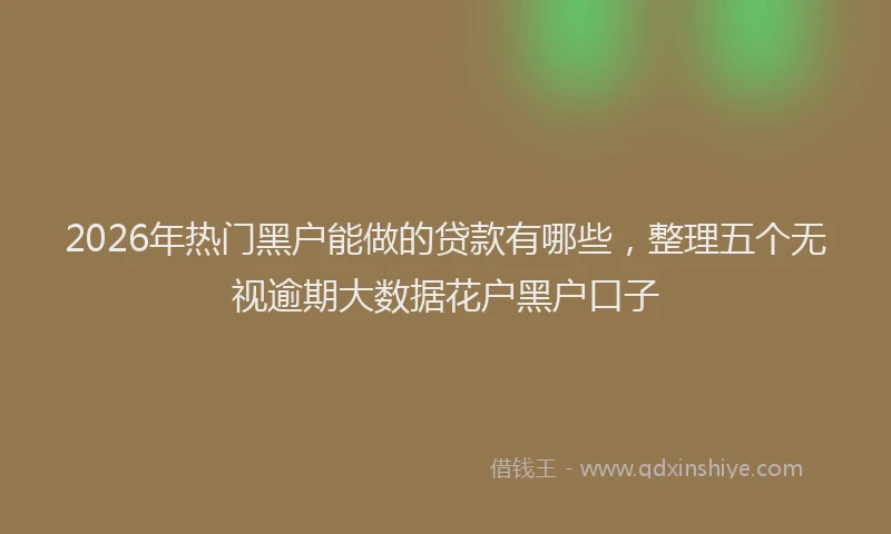 2026年热门黑户能做的贷款有哪些，整理五个无视逾期大数据花户黑户口子