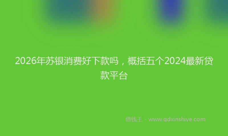 2026年苏银消费好下款吗，概括五个2024最新贷款平台