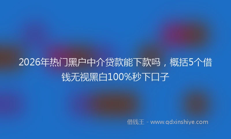 2026年热门黑户中介贷款能下款吗，概括5个借钱无视黑白100%秒下口子