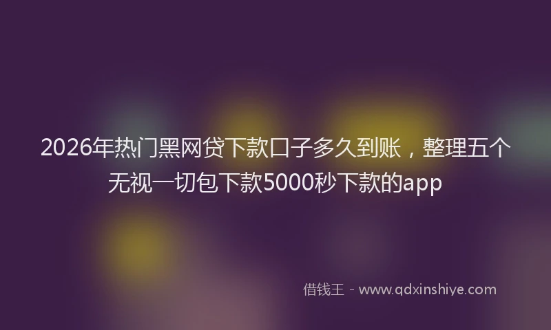 2026年热门黑网贷下款口子多久到账，整理五个无视一切包下款5000秒下款的app