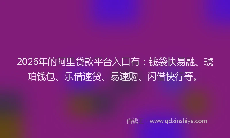 2026年的阿里贷款平台入口有：钱袋快易融、琥珀钱包、乐借速贷、易速购、闪借快行等。