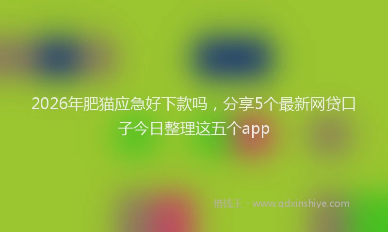 2026年肥猫应急好下款吗，分享5个最新网贷口子今日整理这五个app