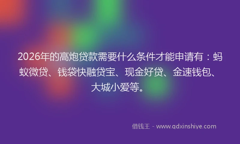 2026年的高炮贷款需要什么条件才能申请有：蚂蚁微贷、钱袋快融贷宝、现金好贷、金速钱包、大城小爱等。