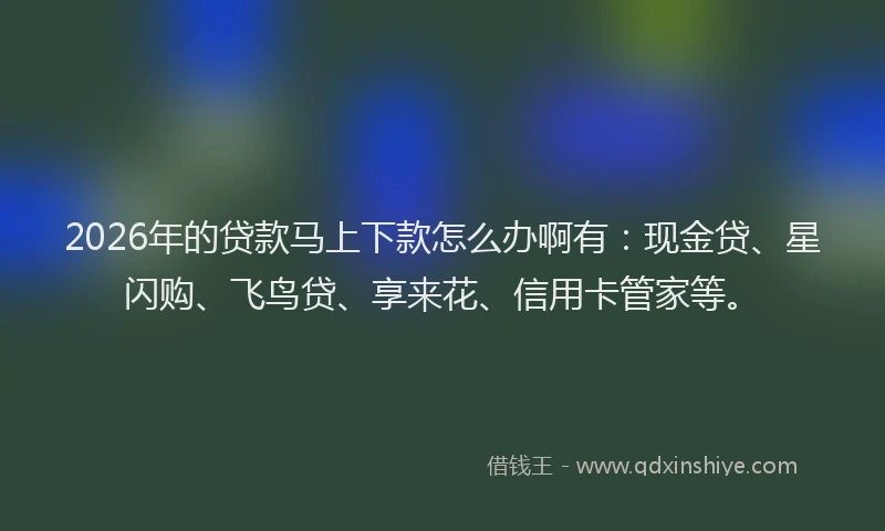 2026年的贷款马上下款怎么办啊有:现金贷、星闪购、飞鸟贷、享来花、信用卡管家等。
