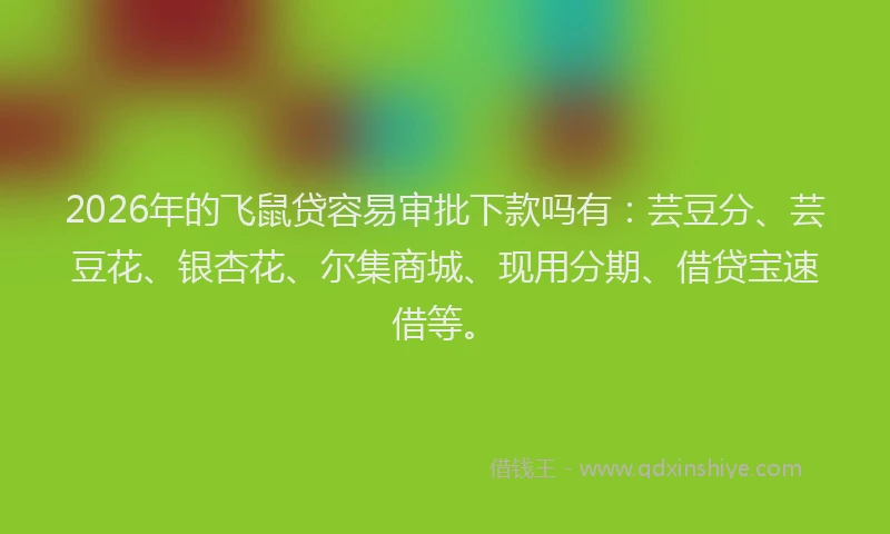 2026年的飞鼠贷容易审批下款吗有：芸豆分、芸豆花、银杏花、尔集商城、现用分期、借贷宝速借等。