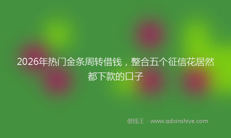 2026年热门金条周转借钱，整合五个征信花居然都下款的口子