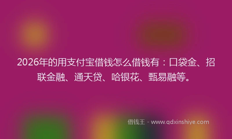 2026年的用支付宝借钱怎么借钱有：口袋金、招联金融、通天贷、哈银花、甄易融等。