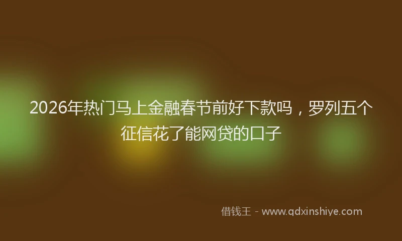 2026年热门马上金融春节前好下款吗，罗列五个征信花了能网贷的口子