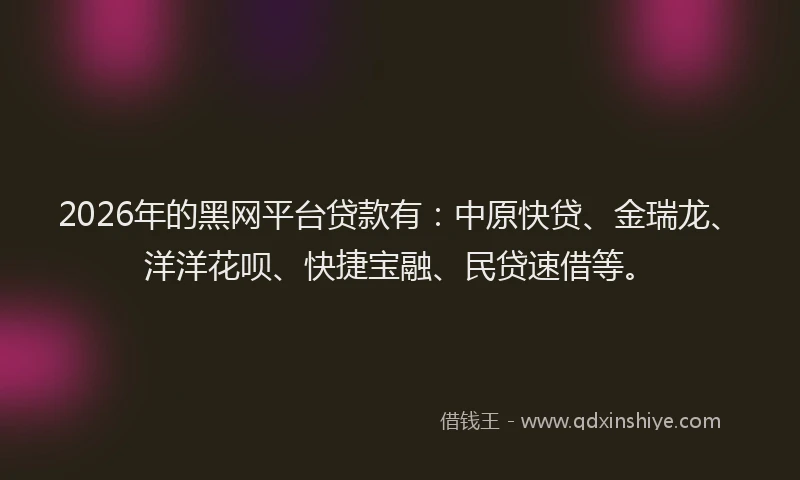 2026年的黑网平台贷款有：中原快贷、金瑞龙、洋洋花呗、快捷宝融、民贷速借等。