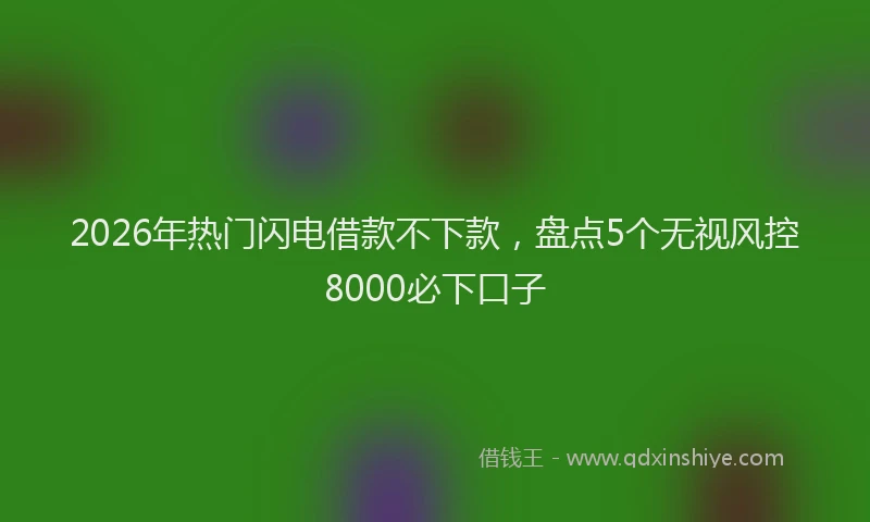 2026年热门闪电借款不下款，盘点5个无视风控8000必下口子