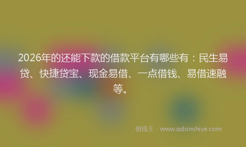 2026年的还能下款的借款平台有哪些有：民生易贷、快捷贷宝、现金易借、一点借钱、易借速融等。