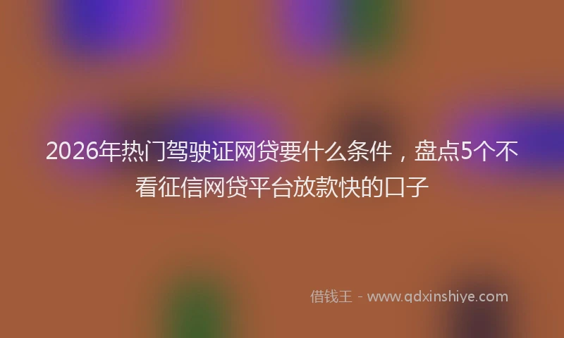 2026年热门驾驶证网贷要什么条件，盘点5个不看征信网贷平台放款快的口子