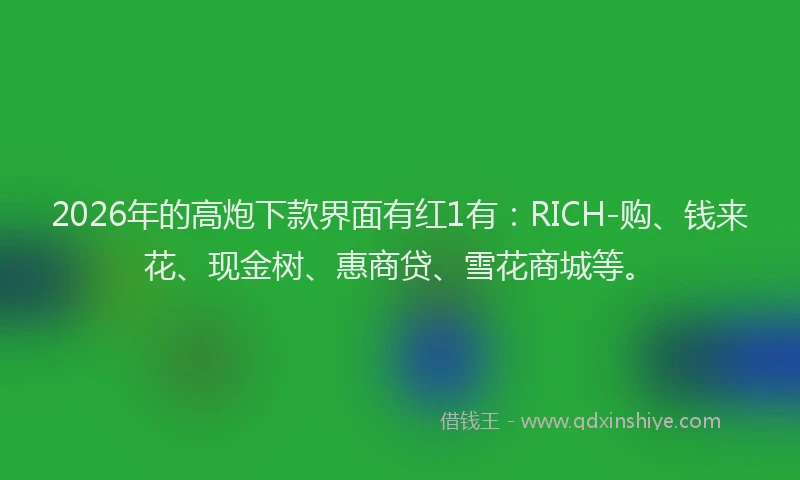 2026年的高炮下款界面有红1有:RICH-购、钱来花、现金树、惠商贷、雪花商城等。