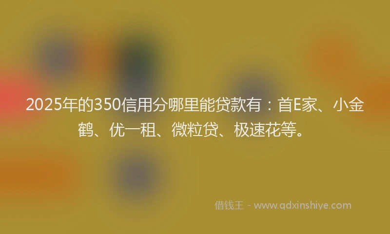 2025年的350信用分哪里能贷款有：首E家、小金鹤、优一租、微粒贷、极速花等。