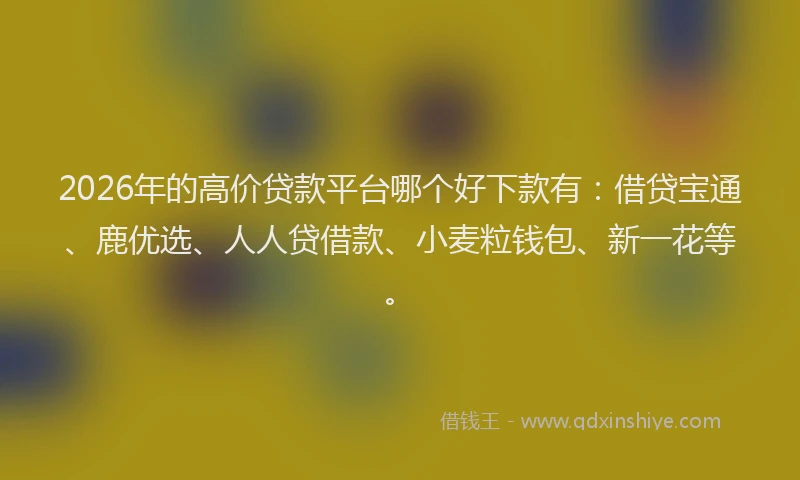 2026年的高价贷款平台哪个好下款有：借贷宝通、鹿优选、人人贷借款、小麦粒钱包、新一花等。