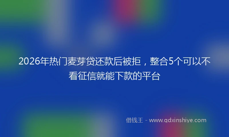 2026年热门麦芽贷还款后被拒，整合5个可以不看征信就能下款的平台