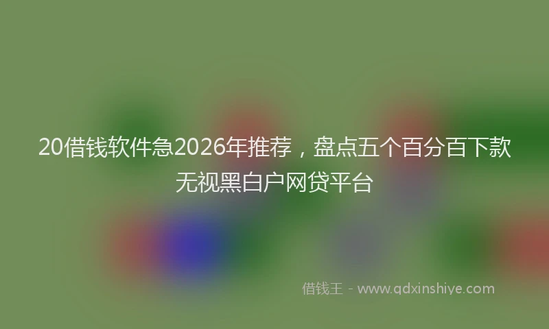 20借钱软件急2026年推荐，盘点五个百分百下款无视黑白户网贷平台