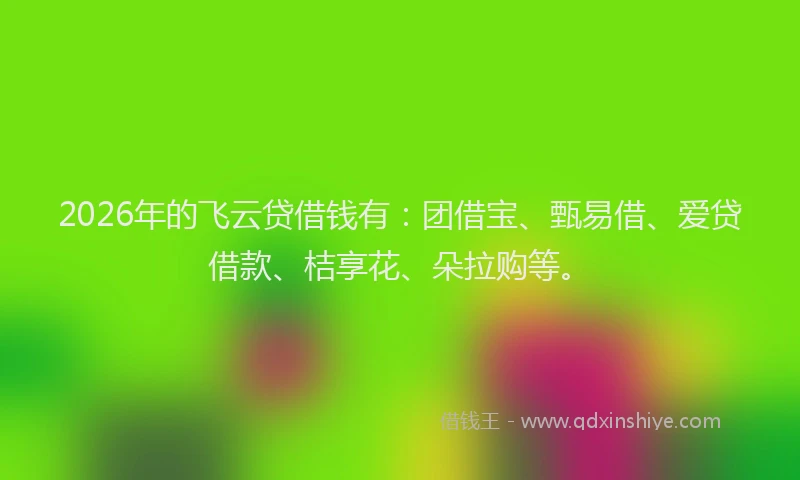 2026年的飞云贷借钱有：团借宝、甄易借、爱贷借款、桔享花、朵拉购等。