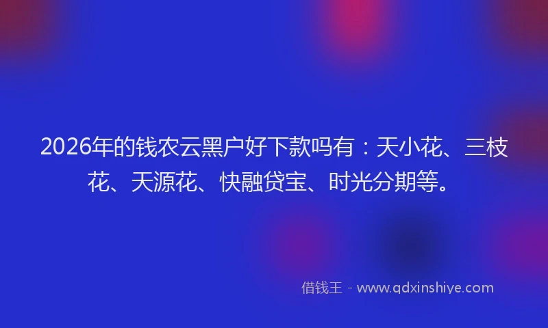 2026年的钱农云黑户好下款吗有：天小花、三枝花、天源花、快融贷宝、时光分期等。