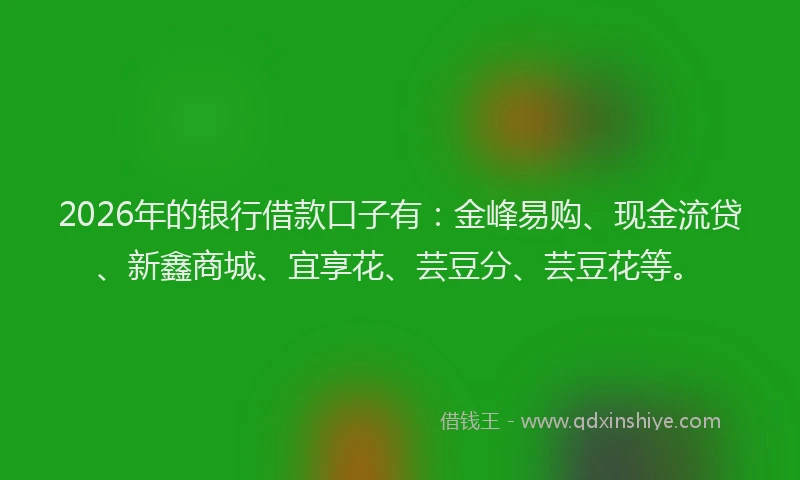 2026年的银行借款口子有：金峰易购、现金流贷、新鑫商城、宜享花、芸豆分、芸豆花等。