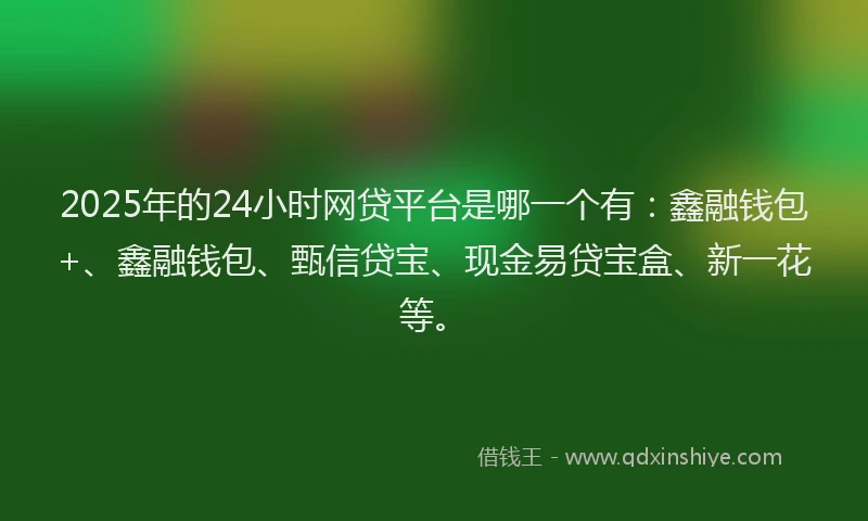2025年的24小时网贷平台是哪一个有：鑫融钱包+、鑫融钱包、甄信贷宝、现金易贷宝盒、新一花等。