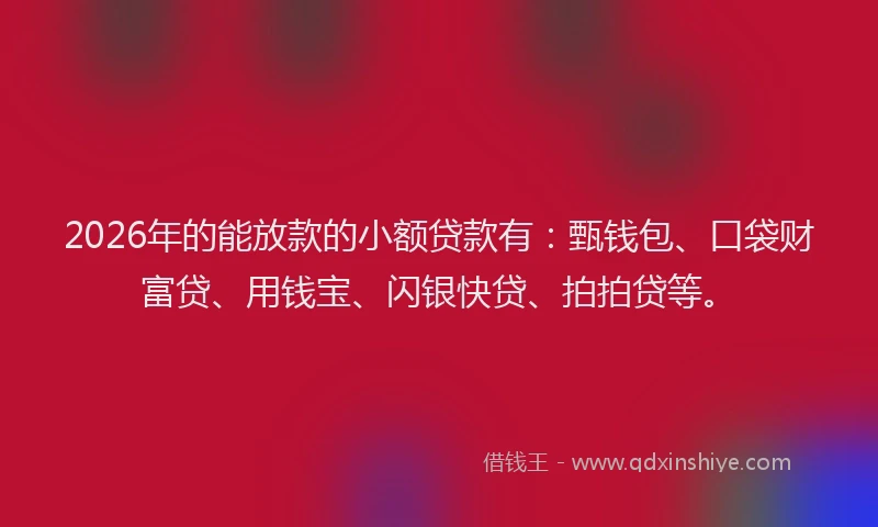 2026年的能放款的小额贷款有：甄钱包、口袋财富贷、用钱宝、闪银快贷、拍拍贷等。