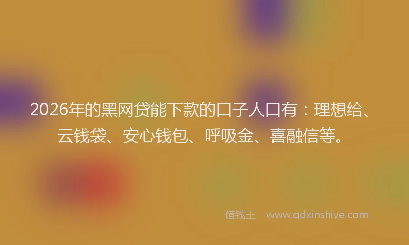 2026年的黑网贷能下款的口子人口有：理想给、云钱袋、安心钱包、呼吸金、喜融信等。