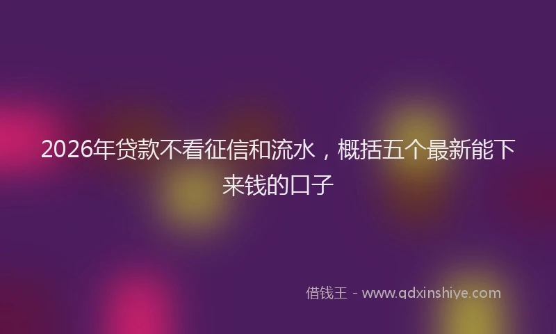 2026年贷款不看征信和流水，概括五个最新能下来钱的口子