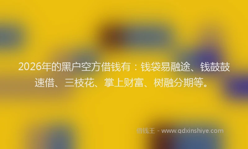 2026年的黑户空方借钱有：钱袋易融途、钱鼓鼓速借、三枝花、掌上财富、树融分期等。