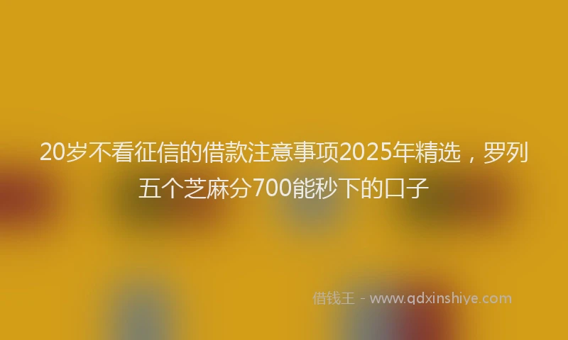 20岁不看征信的借款注意事项2025年精选，罗列五个芝麻分700能秒下的口子