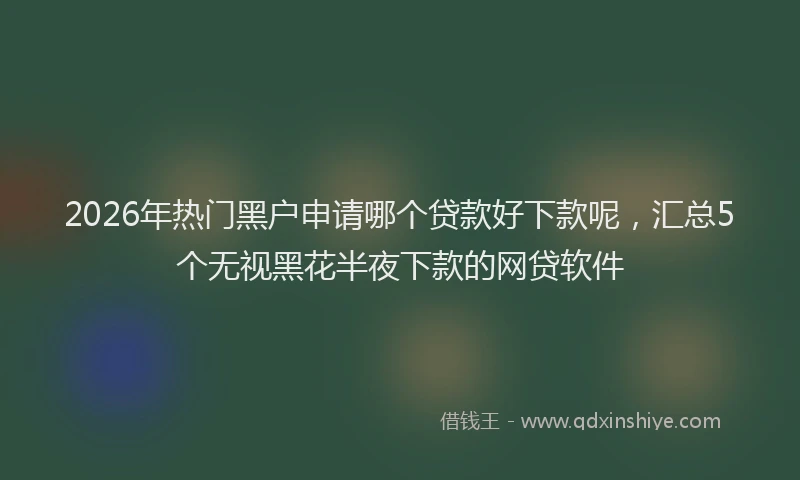 2026年热门黑户申请哪个贷款好下款呢，汇总5个无视黑花半夜下款的网贷软件
