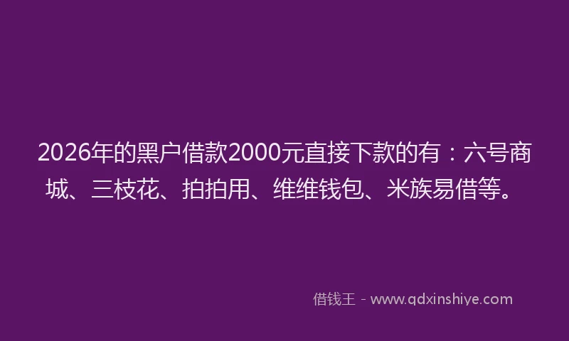 2026年的黑户借款2000元直接下款的有：六号商城、三枝花、拍拍用、维维钱包、米族易借等。