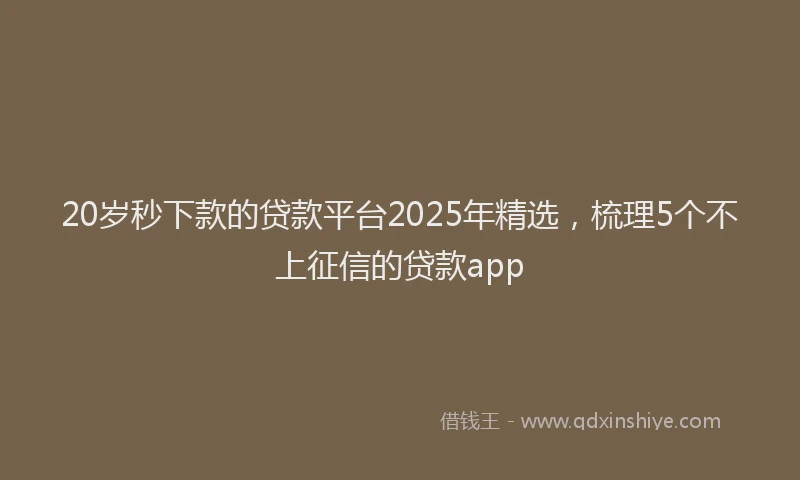 20岁秒下款的贷款平台2025年精选，梳理5个不上征信的贷款app