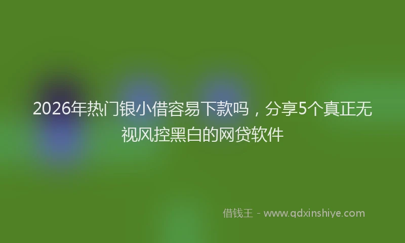 2026年热门银小借容易下款吗，分享5个真正无视风控黑白的网贷软件