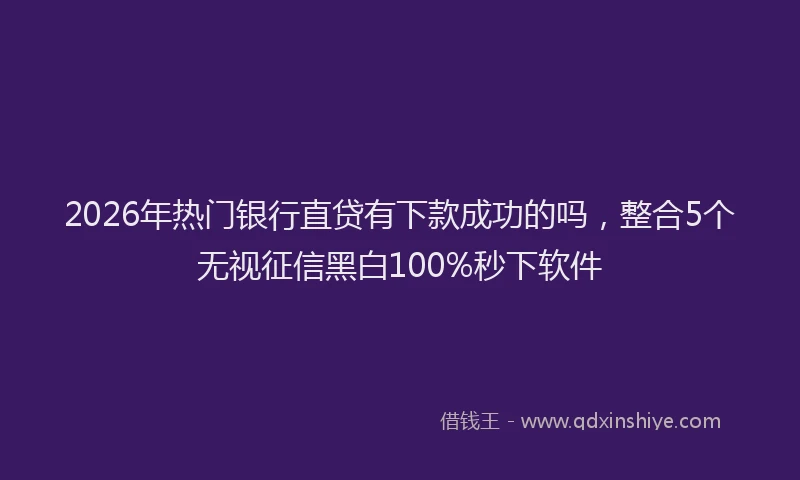 2026年热门银行直贷有下款成功的吗，整合5个无视征信黑白100%秒下软件