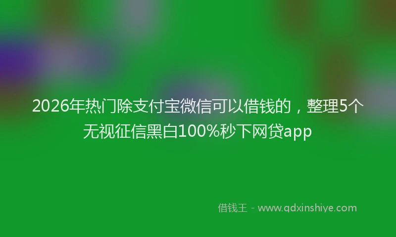 2026年热门除支付宝微信可以借钱的,整理5个无视征信黑白100%秒下网贷app