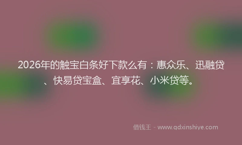 2026年的触宝白条好下款么有：惠众乐、迅融贷、快易贷宝盒、宜享花、小米贷等。
