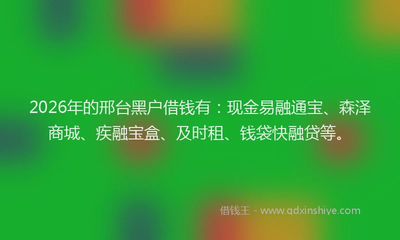 2026年的邢台黑户借钱有:现金易融通宝、森泽商城、疾融宝盒、及时租、钱袋快融贷等。