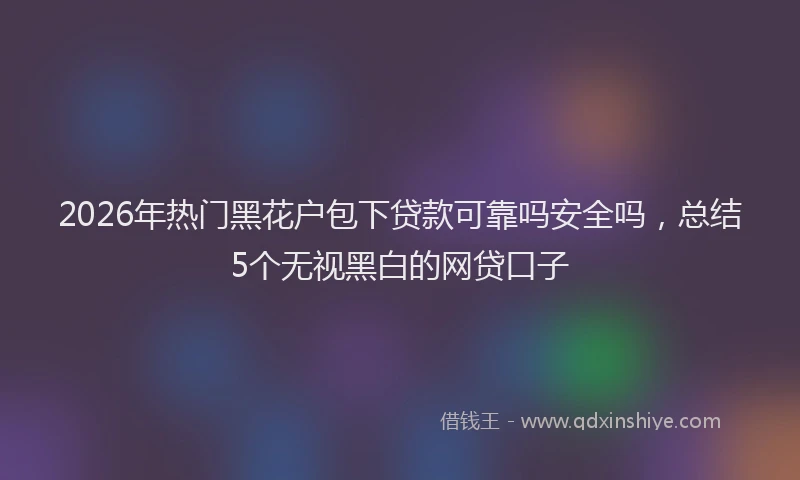 2026年热门黑花户包下贷款可靠吗安全吗，总结5个无视黑白的网贷口子