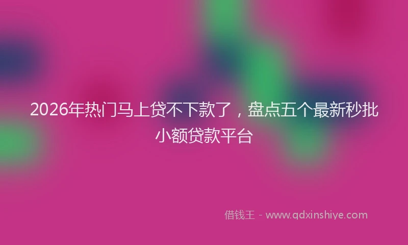 2026年热门马上贷不下款了，盘点五个最新秒批小额贷款平台