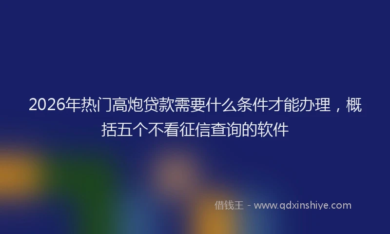 2026年热门高炮贷款需要什么条件才能办理，概括五个不看征信查询的软件