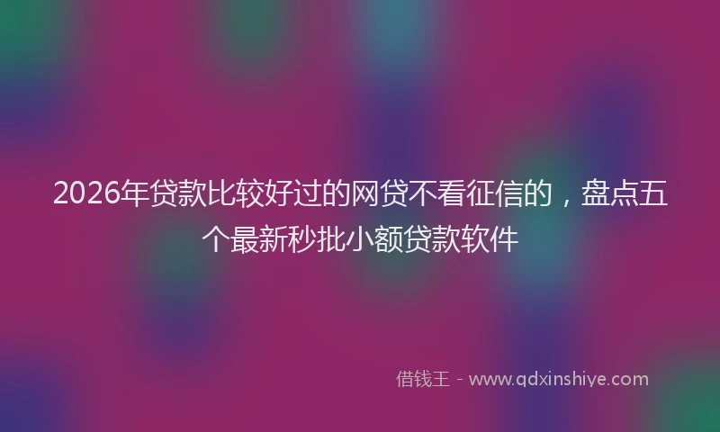 2026年贷款比较好过的网贷不看征信的，盘点五个最新秒批小额贷款软件