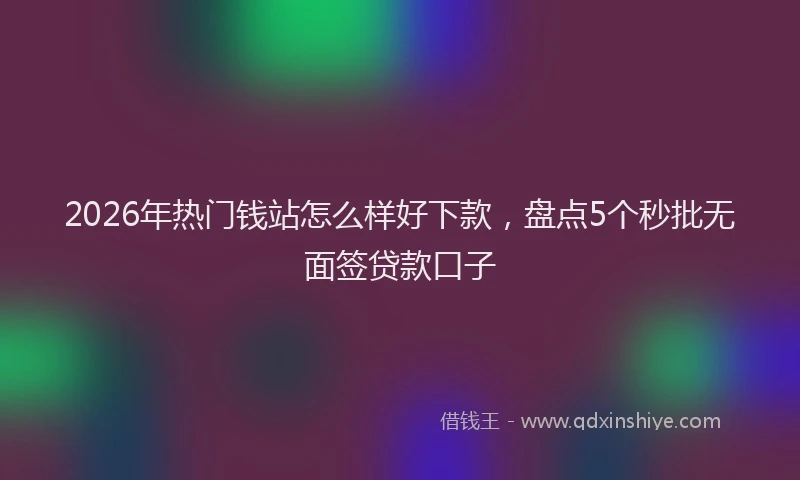 2026年热门钱站怎么样好下款，盘点5个秒批无面签贷款口子