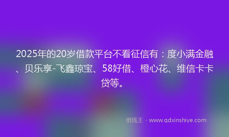2025年的20岁借款平台不看征信有：度小满金融、贝乐享-飞鑫琼宝、58好借、橙心花、维信卡卡贷等。