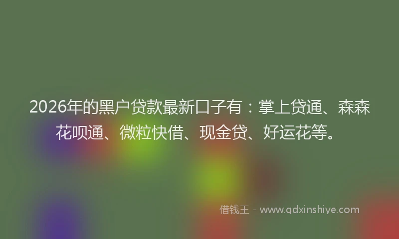 2026年的黑户贷款最新口子有：掌上贷通、森森花呗通、微粒快借、现金贷、好运花等。