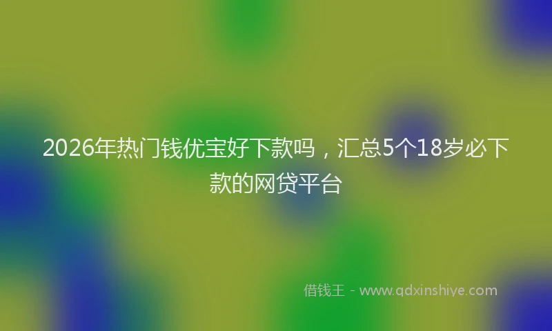 2026年热门钱优宝好下款吗，汇总5个18岁必下款的网贷平台